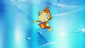 Chimchar10.jpg Chimchar image by ShayminXStar