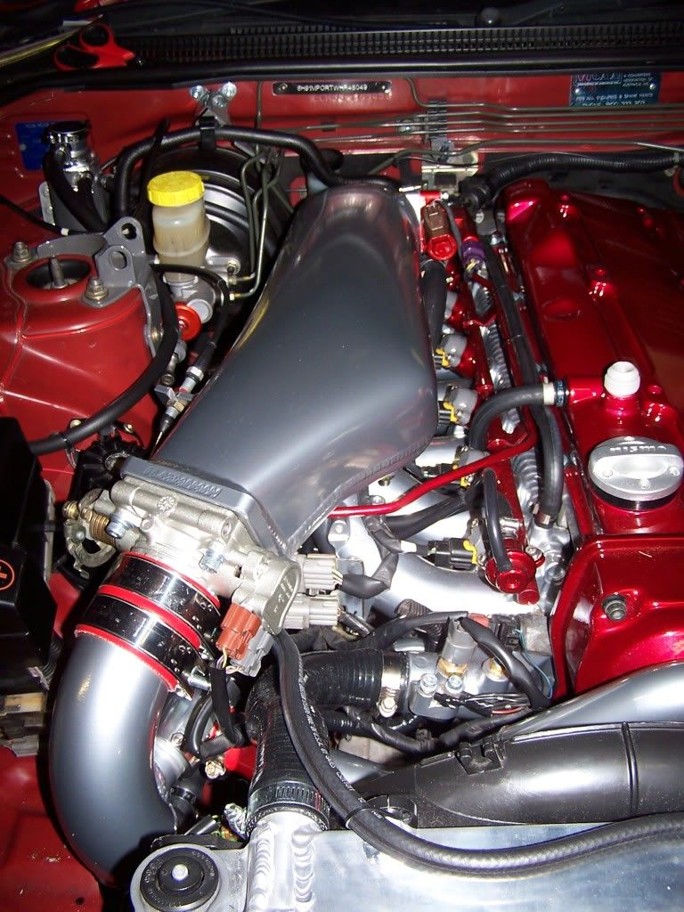 Custom Rocker Cover Painting Cosmetic, Styling & Respray SAU Community