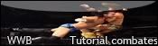 http://i629.photobucket.com/albums/uu12/MiniWWByotros/Tutorialcombates.jpg