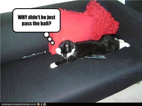 funny cats with captions. funny cats with captions. funny cats with captions. funny cats with captions. Satori.