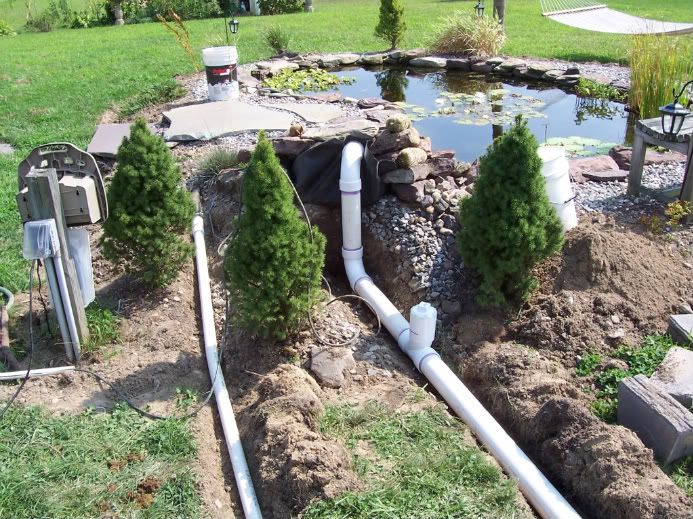 moved my filter | Garden Pond Forums