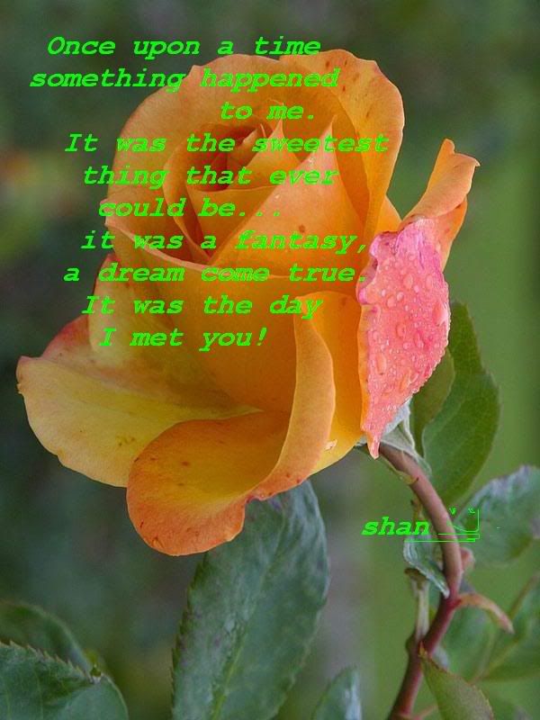 love quote Pictures, Images and Photos