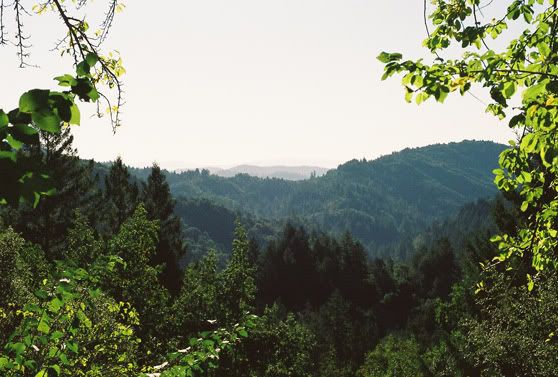 View of Napa Valley California