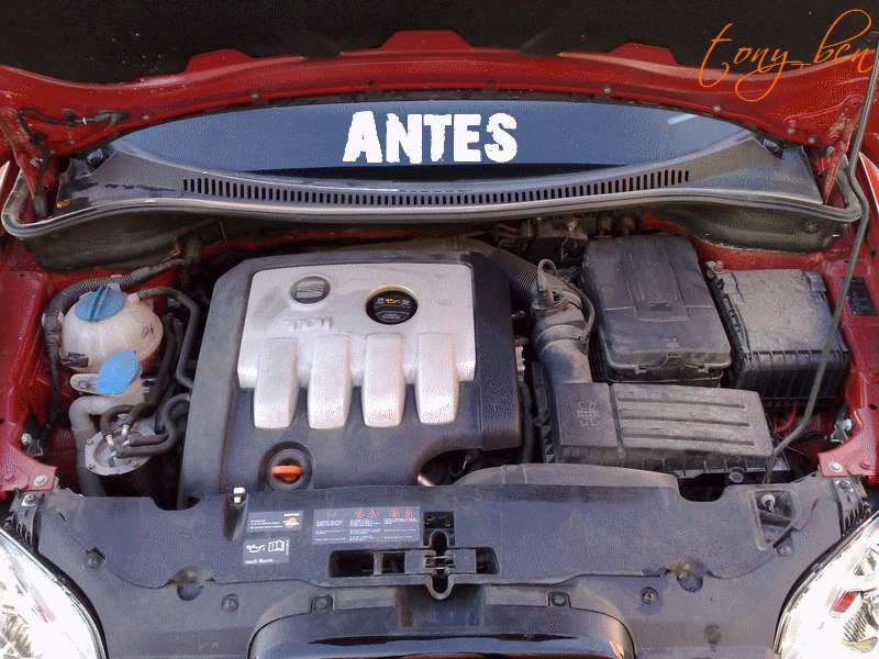 GIF_alta_pumu.gif?t=1291103420