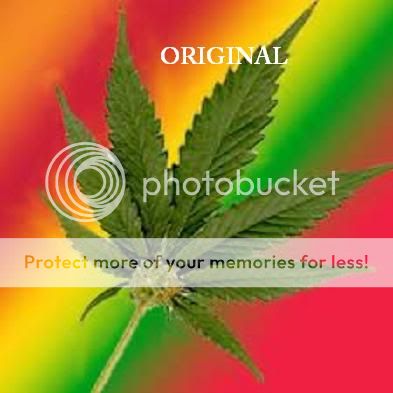 Pot Leaf Rainbow Cross Stitch Pattern Marijuana TBB  