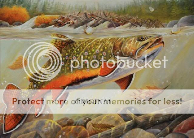 Brook Trout 2 Cross Stitch Pattern Sport Fish TBB  