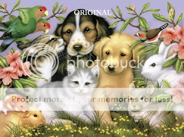 Adorable Pets Cross Stitch Pat Dogs Cats Birds Bunnies  