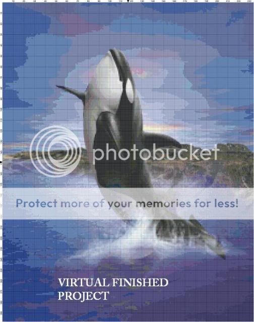 Breaching Orca Cross Stitch Pattern Whales Dolphins TBB  