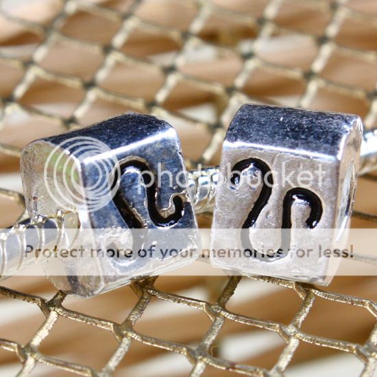 5PC Sign Of The Zodiac Horoscope Silver Plated European Charm Beads 