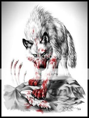 bloody wolf Pictures, Images and Photos